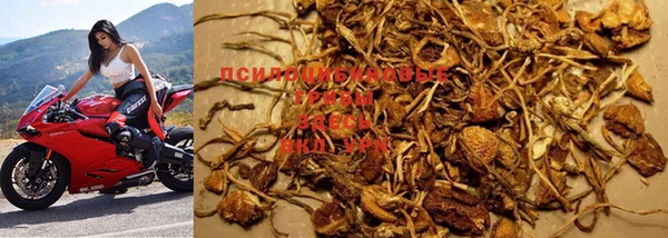 mdpv Переславль-Залесский