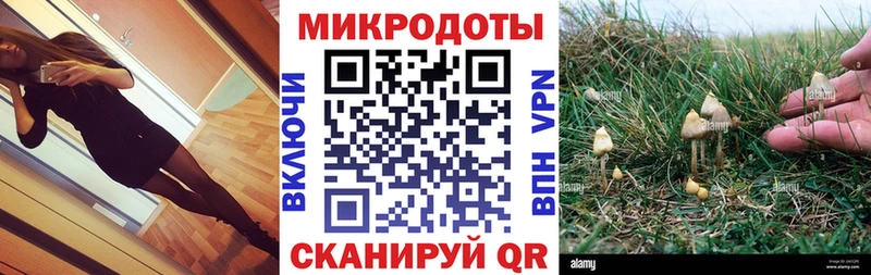 Псилоцибиновые грибы прущие грибы  Купить где  Великий Новгород 